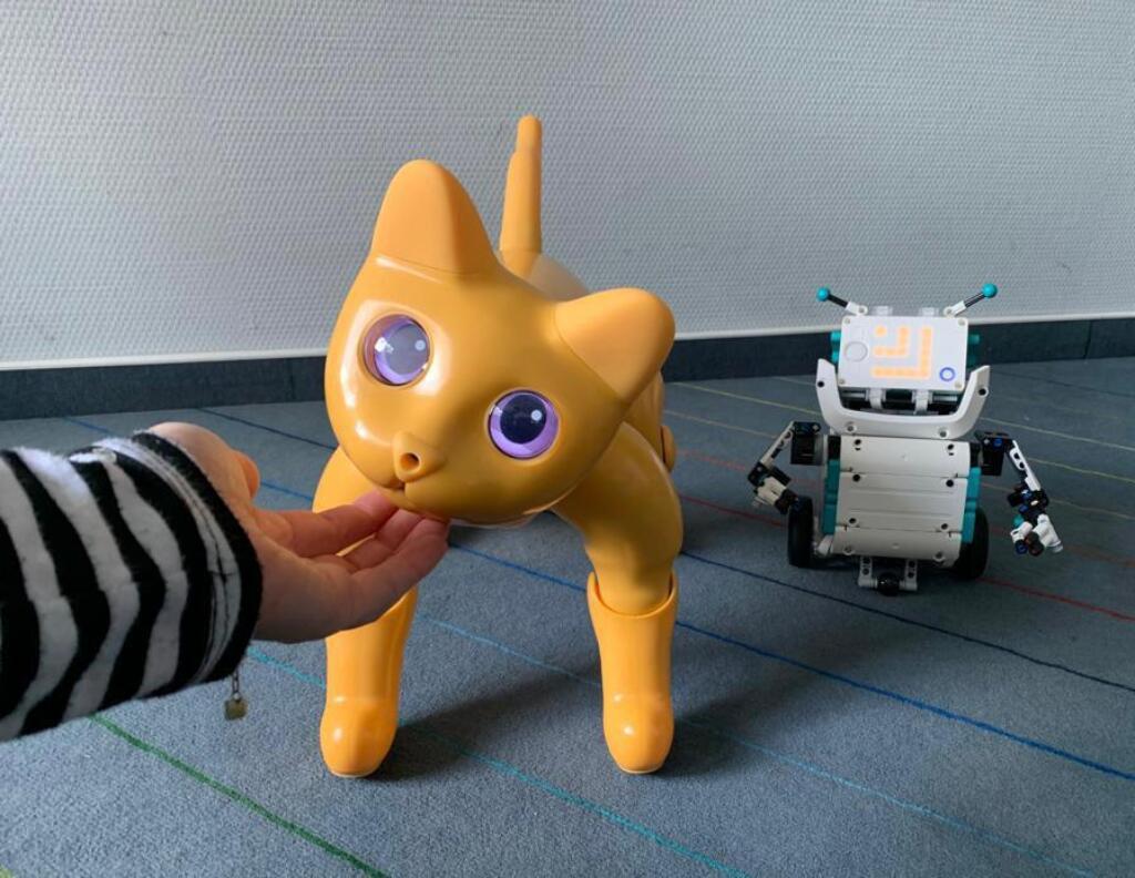 Mainzer Wissenschaftsmarkt: Zu sehen sind die Roboterkatze Hilde und der Legoroboter Charlie